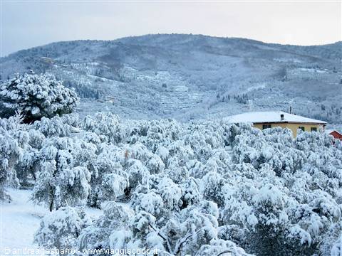 e con la neve verso Fontesanta