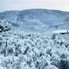 e con la neve verso Fontesanta ITALIA 