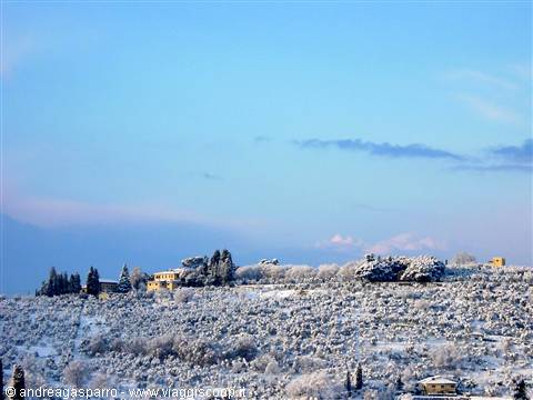 Poggi innevati