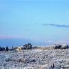 Poggi innevati ITALIA 