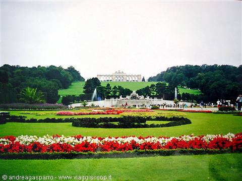 Un saluto da Vienna