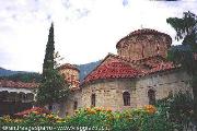 Rodopi