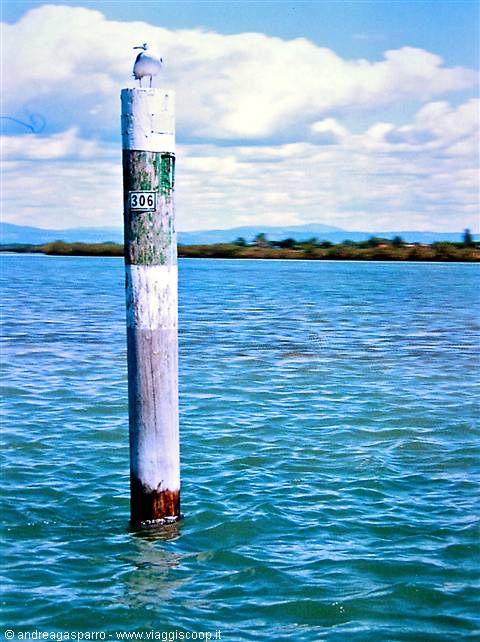 Laguna