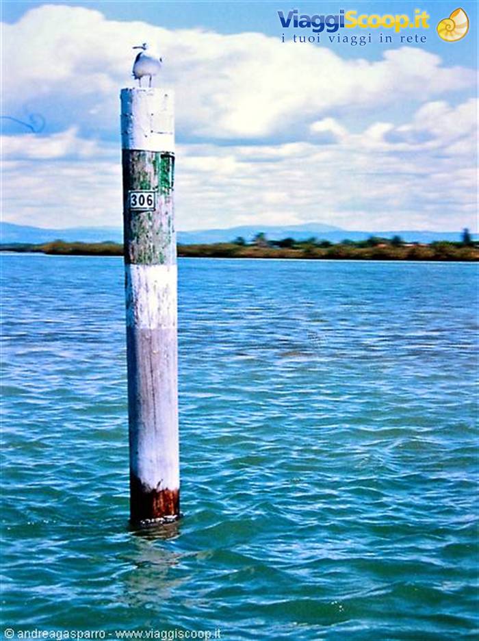 Laguna