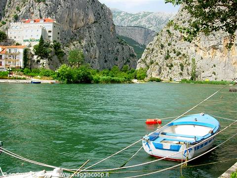 Omis