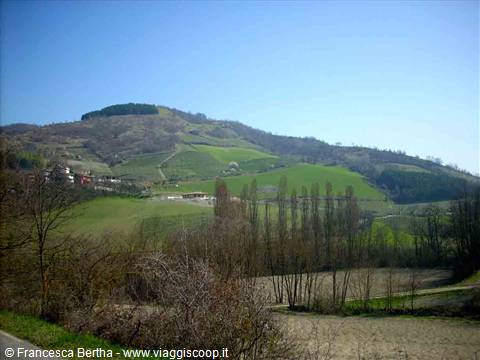 Le colline di Borgo Priolo