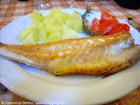 Prelibatezze del Ristorante Mosè di Celle Ligure
