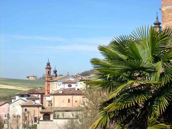 Veduta di Costigliole d'Asti