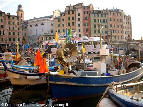 Il porticciolo di Camogli