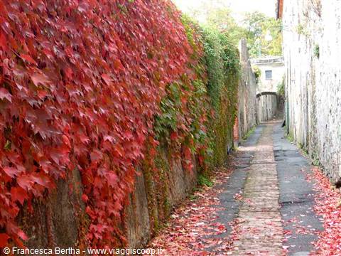 Autunno nel centro di Voltri