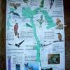 La fauna della Valle Olona ITALIA 