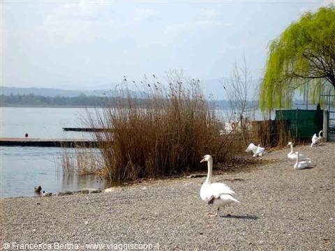 Il Lago di Varese