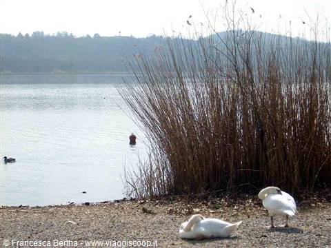 Il Lago di Varese