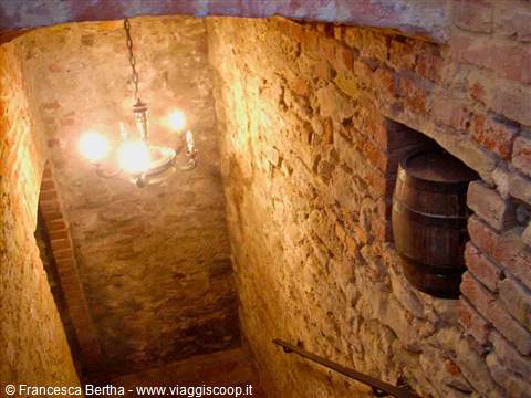Scendendo in cantina