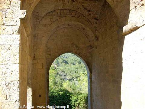 Tra natura e mistero