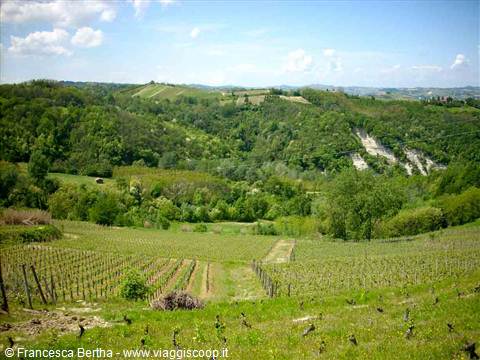 Il paesaggio intorno a Santo Stefano Belbo