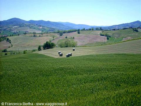 Il paesaggio intorno a Borgonovo Val Tidone
