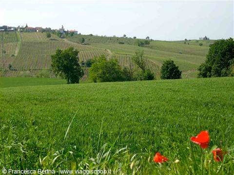 Veduta dei dintorni di Corano