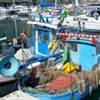 Pescherecci nella Darsena  ITALIA 