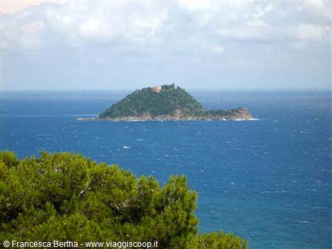 Isola Gallinara