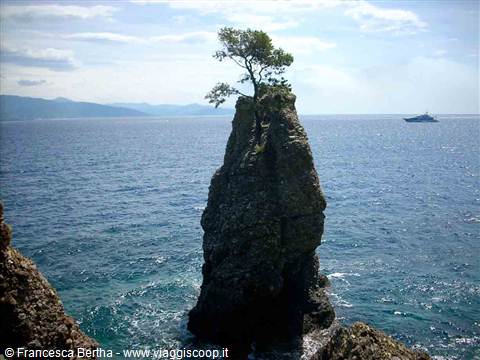 La forza della natura