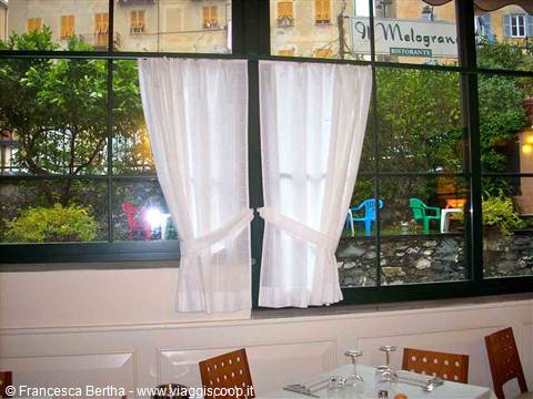 Il giardino, visto dalla sala del Ristorante Il Melograno