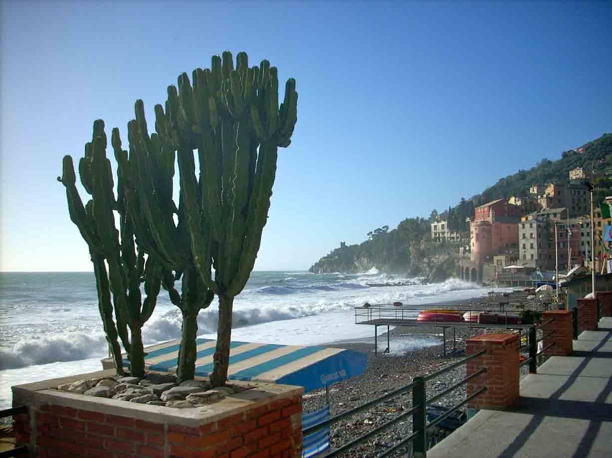 Sul lungomare   
