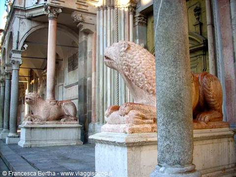 I leoni "in guardia" davanti al Duomo
