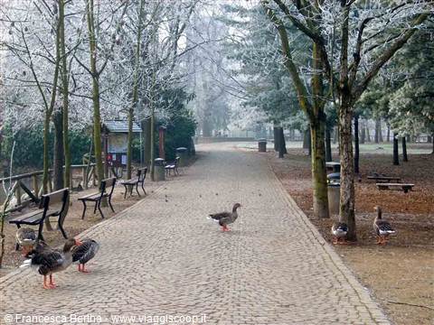 Passeggiata nel parco