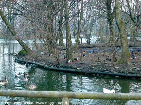 Nel parco di Legnano