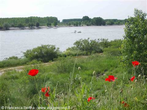 Veduta primaverile sul Po intorno a Isola Serafini