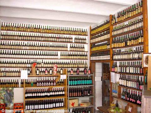 Nella cantina dell'Agriturismo Bottazza