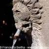 Viterbo Fontana della Morte dettaglio ITALIA 