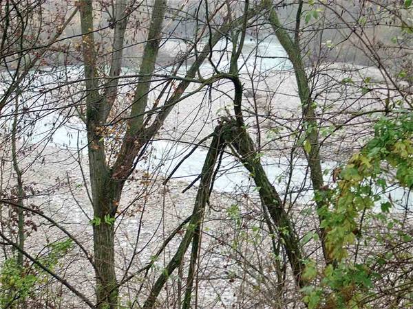 Il torrente Staffora