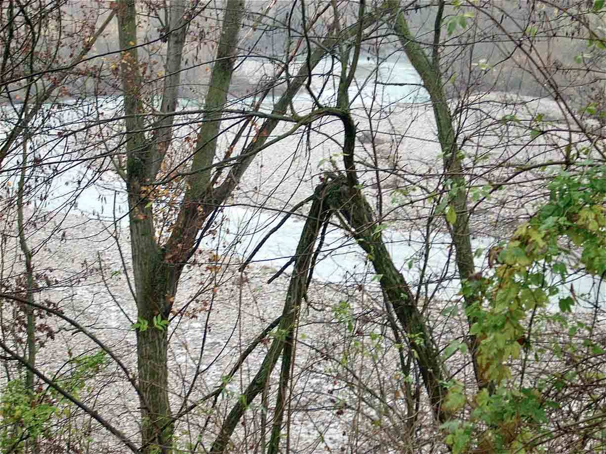 Il torrente Staffora