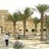 Aleppo: Le mura della Cittadella SIRIA 