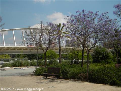 Parque Jardin del Turia