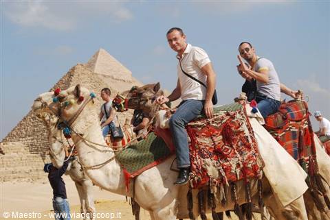 Cammelli e 9 piramidi al Cairo