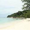 foto viaggio MALESIA