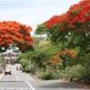 MAURITIUS 