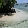  MAURITIUS 