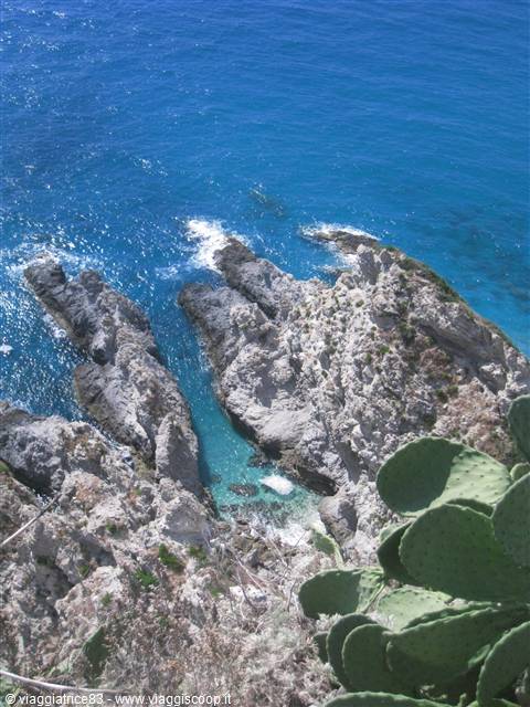 la lingua di mare...