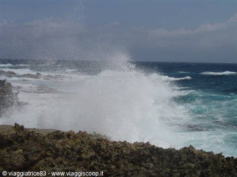 la forza del mare