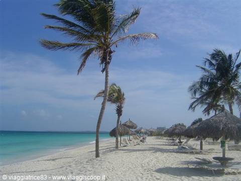 Manchebo Beach 