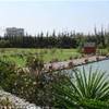 fuengirola campo da golf SPAGNA 