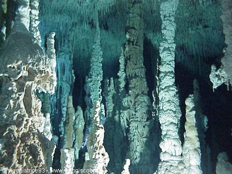 stalattiti a Grand Cenote