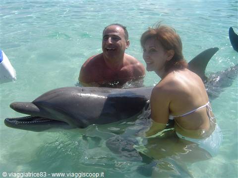 mamma e papà--