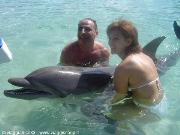 mamma e papà--