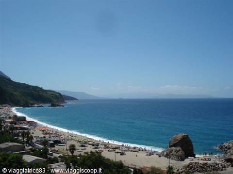 Palmi