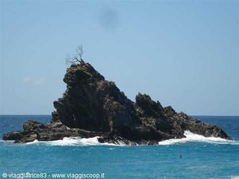 lo scoglio dell'ulivo